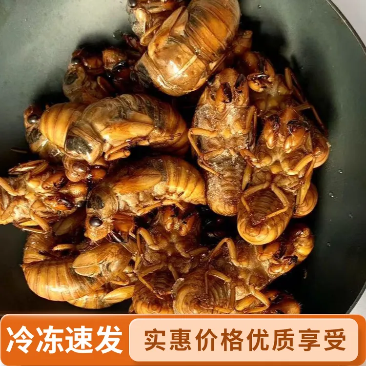 年货山东知了猴金蝉新鲜速冻爬叉猴结了龟知了候味道鲜美工厂直发