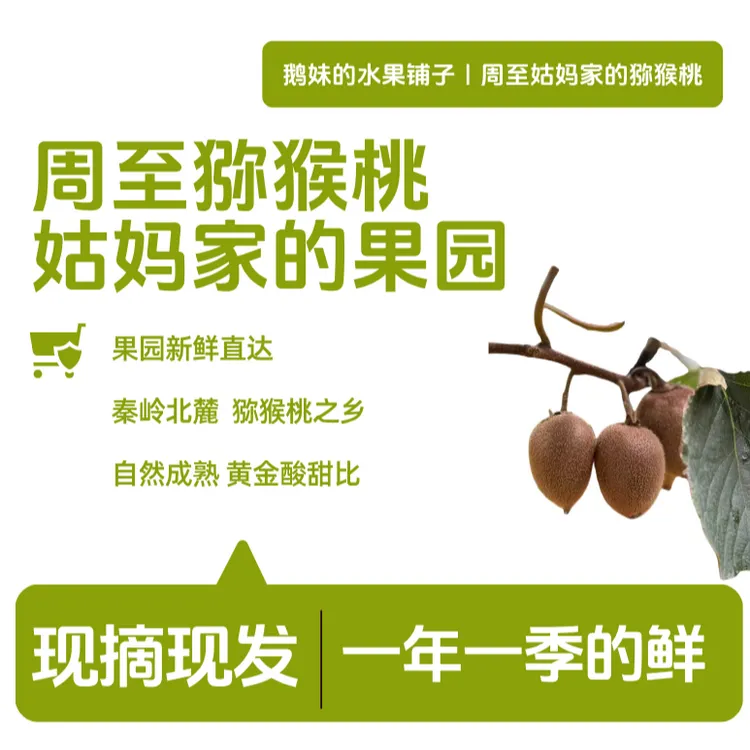 【姑妈家的猕猴桃】陕西秦岭周至翠香猕猴桃野生现摘现发4.5斤装