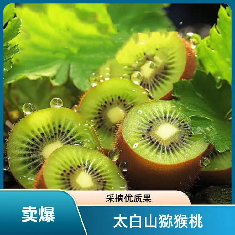 【眉县太白山】徐香猕猴桃 85-100g 新鲜猕猴桃采摘 果香鲜嫩