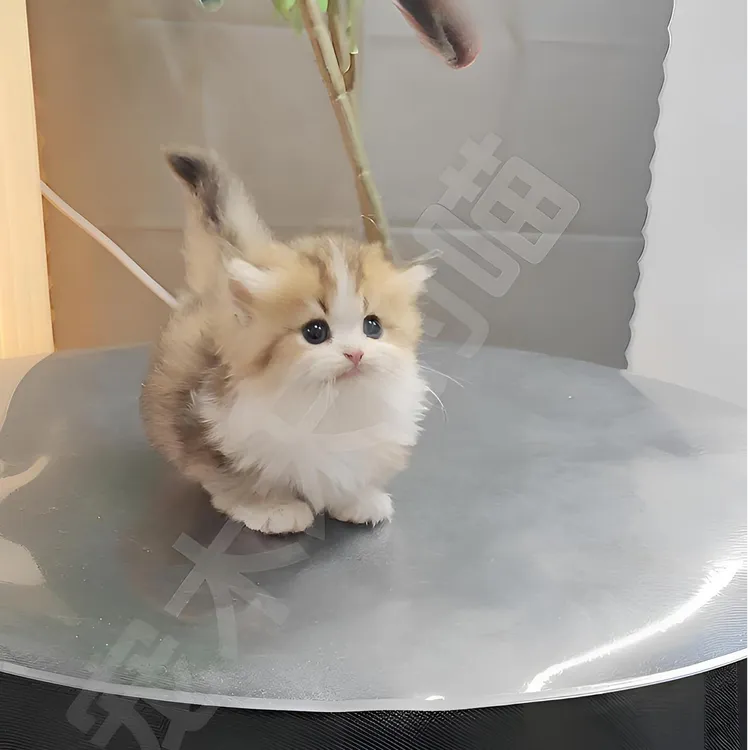 金三花米奴特 一