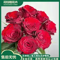 【母亲节限定】高原红玫瑰 两单以上包邮