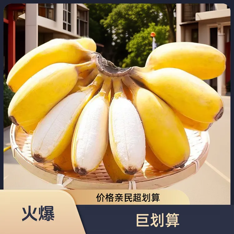 正宗广东应季苹果蕉新鲜孕妇水果西贡粉蕉包邮坏果包赔