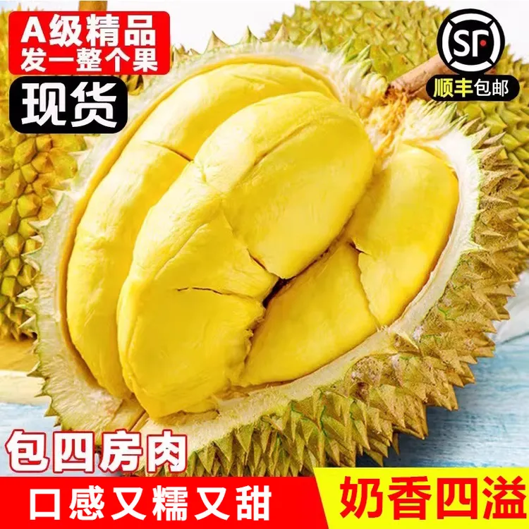 《HH生切不售后》AA级金枕榴莲整果新鲜带壳发货干包黄肉软糯香甜