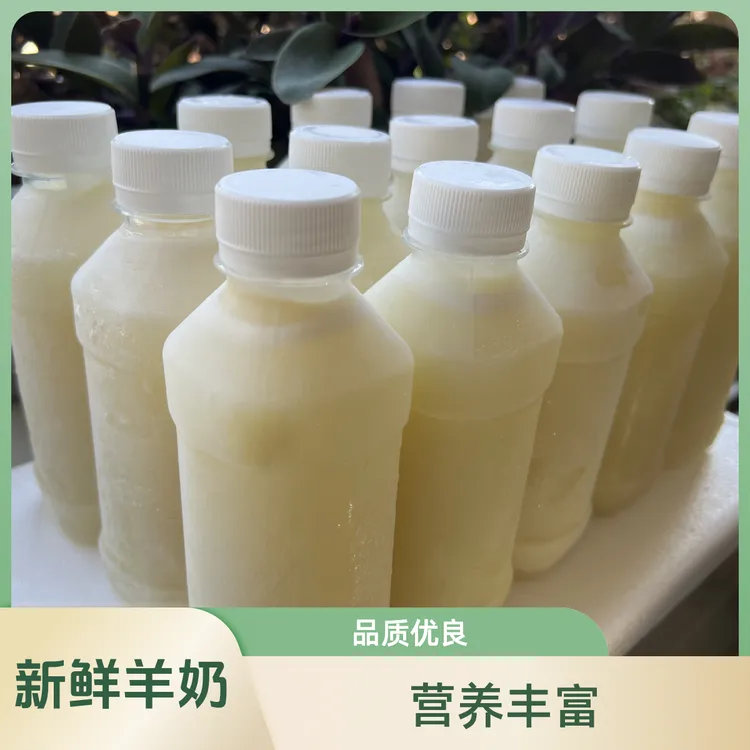 现挤新鲜羊奶1公斤起顺丰冷链空运老人儿童孕妇营养鲜奶牧场直发