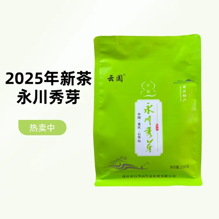 云阖永川秀芽2025年新茶特级茶叶高山绿茶手工绿茶250g袋装茶叶