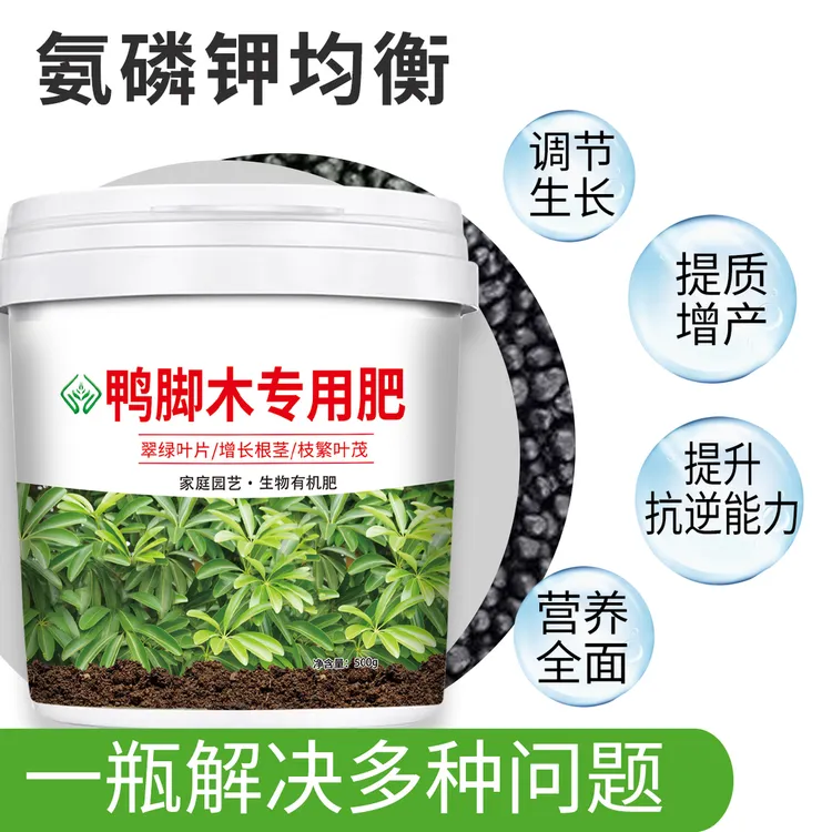 500g【鸭脚木专用肥料】鸭掌木肥料鹅掌柴鸭爪木盆栽营养颗粒缓释肥