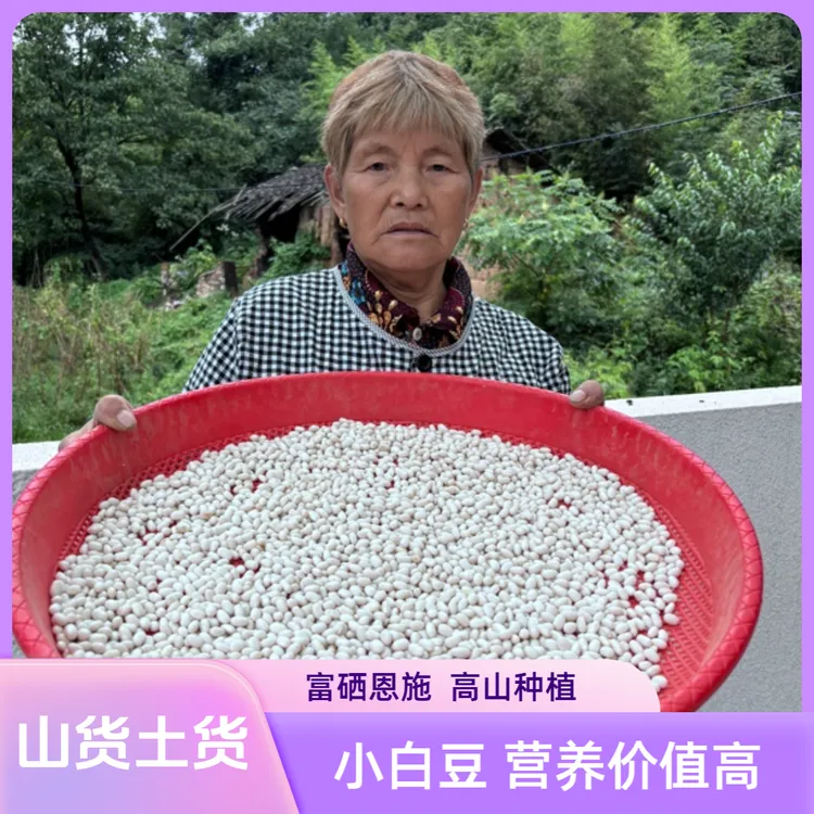 小白豆 高山老品种