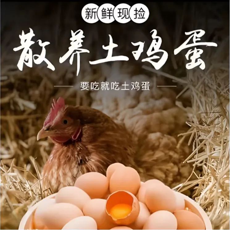 买30枚送20枚【50枚]散养鸡蛋新鲜营养健康每日农村甄选鲜蛋