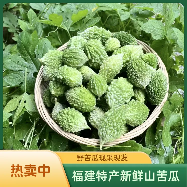 福建特产山苦瓜野苦瓜当季新鲜现采现发煲汤500克装食用农产品