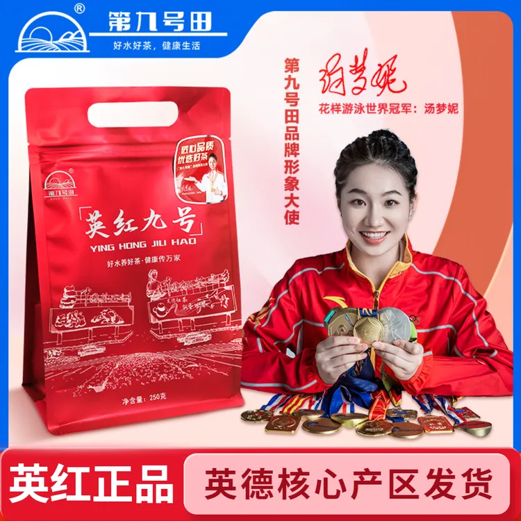 英红九号英德红茶浓香型老树红茶袋装口粮茶叶2025新茶正品 9号茶
