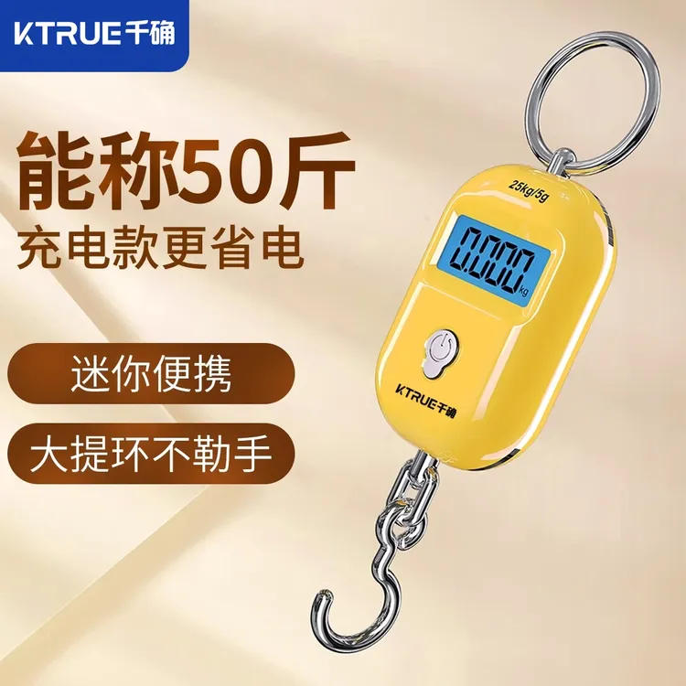 千确高精度迷你电子秤手提电子秤家用小型便携弹簧秤克重称电子秤