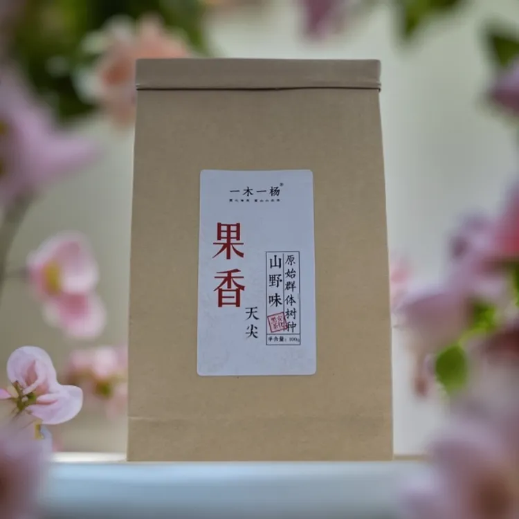 湖南正宗安化黑茶荒野纯料 果香天尖滋味特别强厚实甘甜非常突出