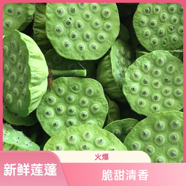 新鲜莲蓬农村自家新鲜水果嫩莲蓬莲子米当季现摘现发生吃清甜脆嫩