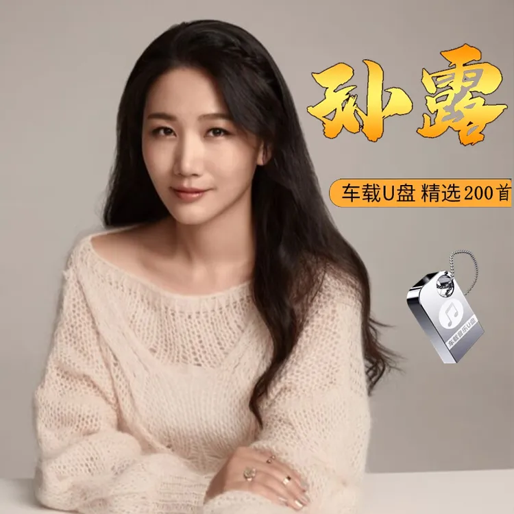 孙露专辑车载u盘歌曲发烧女声车用usb音乐优盘
