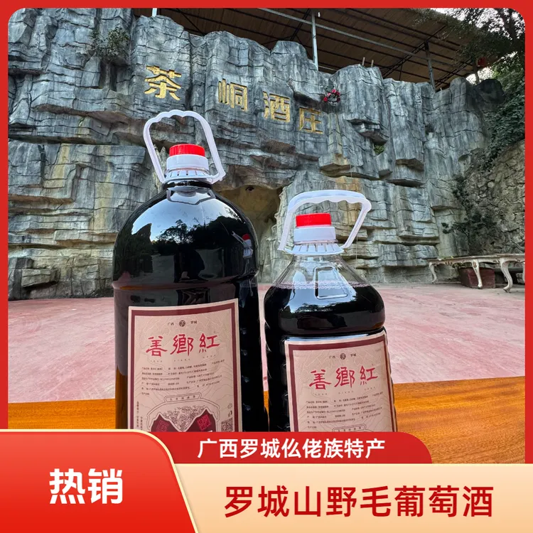 广西河池罗城山野毛葡萄酒洞藏葡萄酒