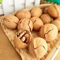 重庆特产营养食用饱满干核桃