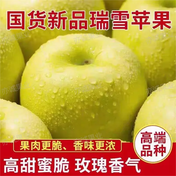 庆阳【国货新品瑞雪高端】苹果高甜蜜脆玫瑰香气源头直发包邮