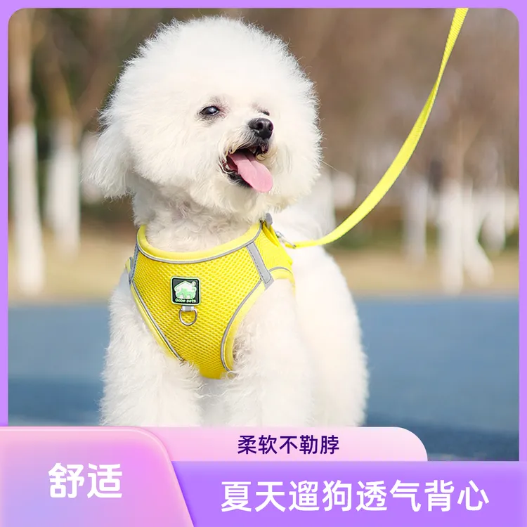 狗狗牵引绳泰迪比熊宠物小型犬博美背心式遛狗牵引绳狗狗绳胸背带