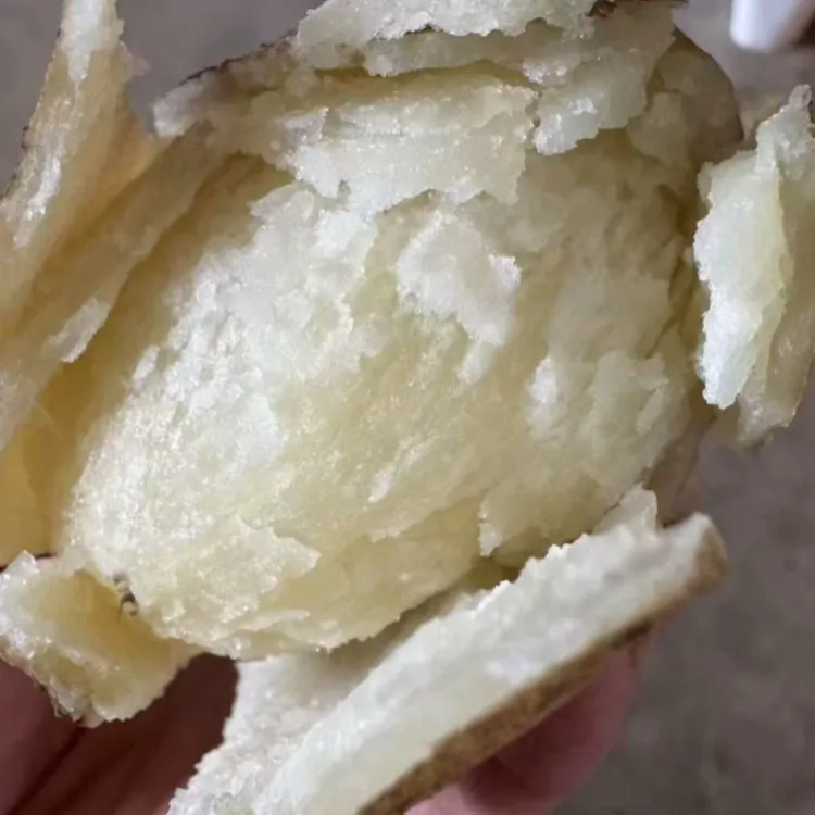 云南高海拔农家开花饭大洋芋软糯香皮薄优质土豆农产品