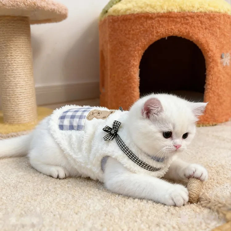 小猫咪衣服冬季防寒加厚小熊可爱卫衣宠物小型犬狗狗衣服春秋保暖