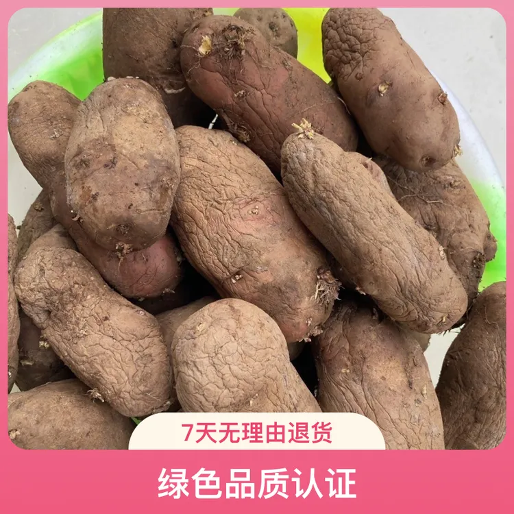贵州威宁农家自种老品种红皮黄心干巴洋芋马铃薯干巴洋芋干巴洋芋