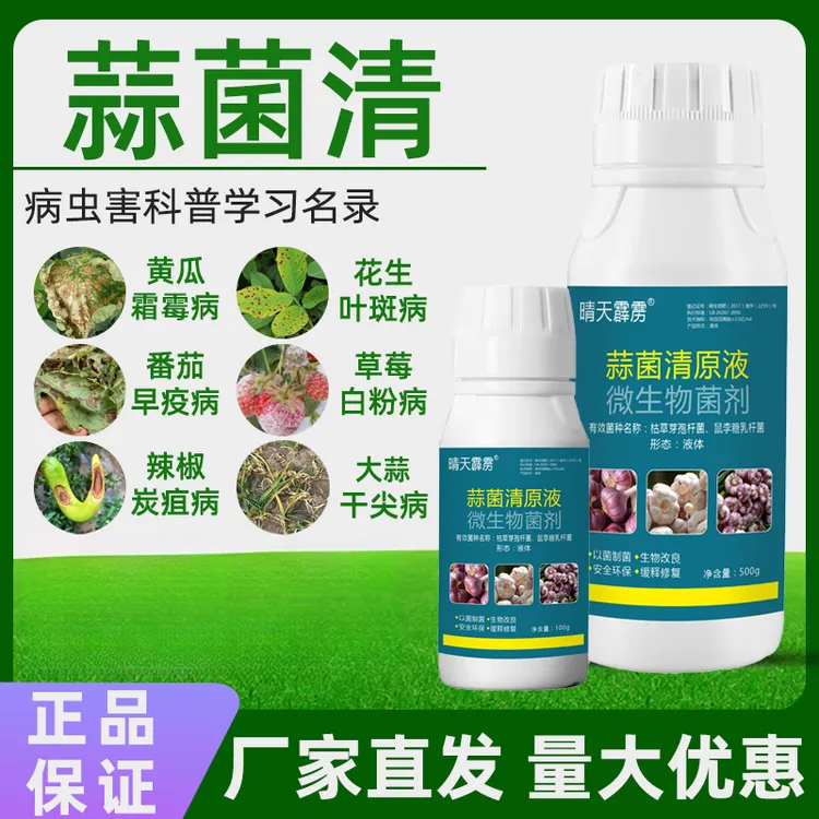 大蒜黄叶干尖软腐病紫斑病根腐病蒜菌清原液厂家直销蒜菌清原液