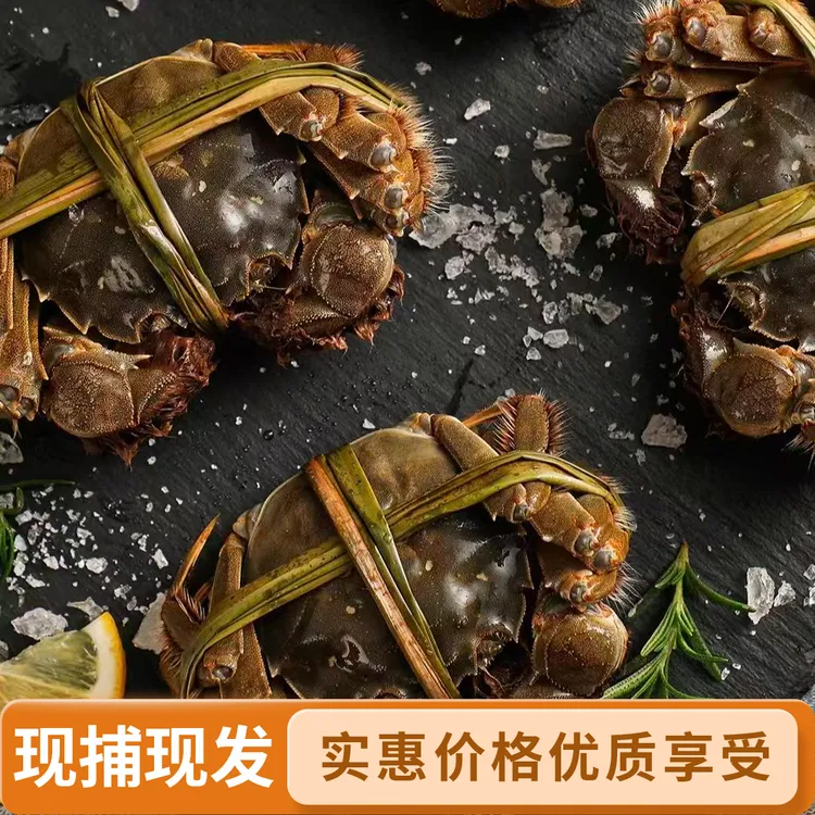 【活蟹】江苏大闸蟹 全母蟹2.0-2.4两  共8只 