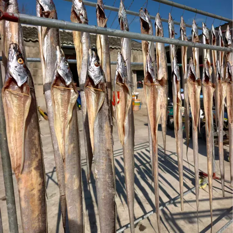 【鲜锋严选】舟山本地风带鱼自然晾晒鱼干7-9两/条