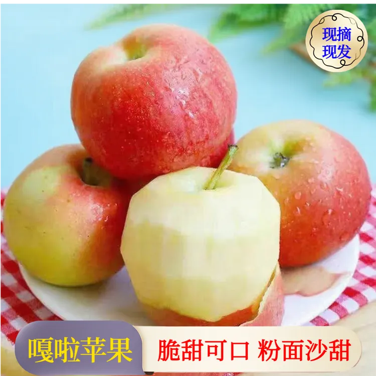 【正宗嘎啦】新鲜水果粉面沙甜的苹果头茬现摘脆甜产地直发直播热销