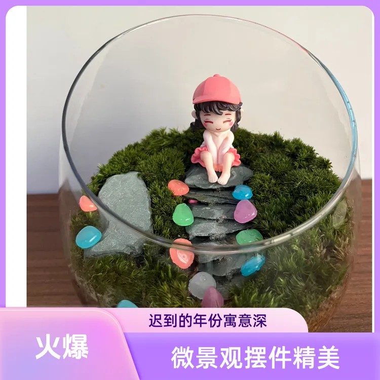 你迟到的许多年-桌面苔藓手办微景观迷你