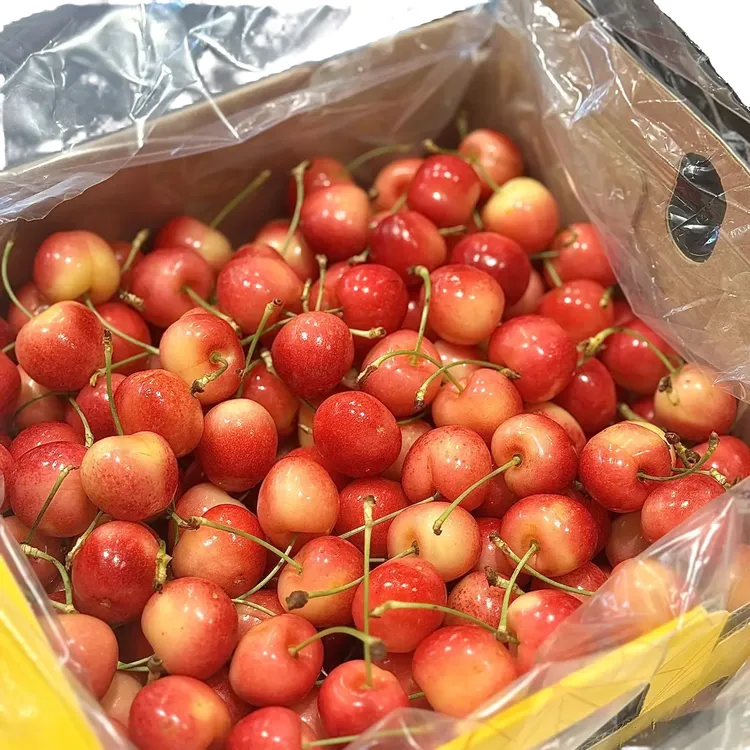 智利空运雷尼尔黄金车厘子大樱桃进口新鲜水果顺丰J-4J内附果径卡