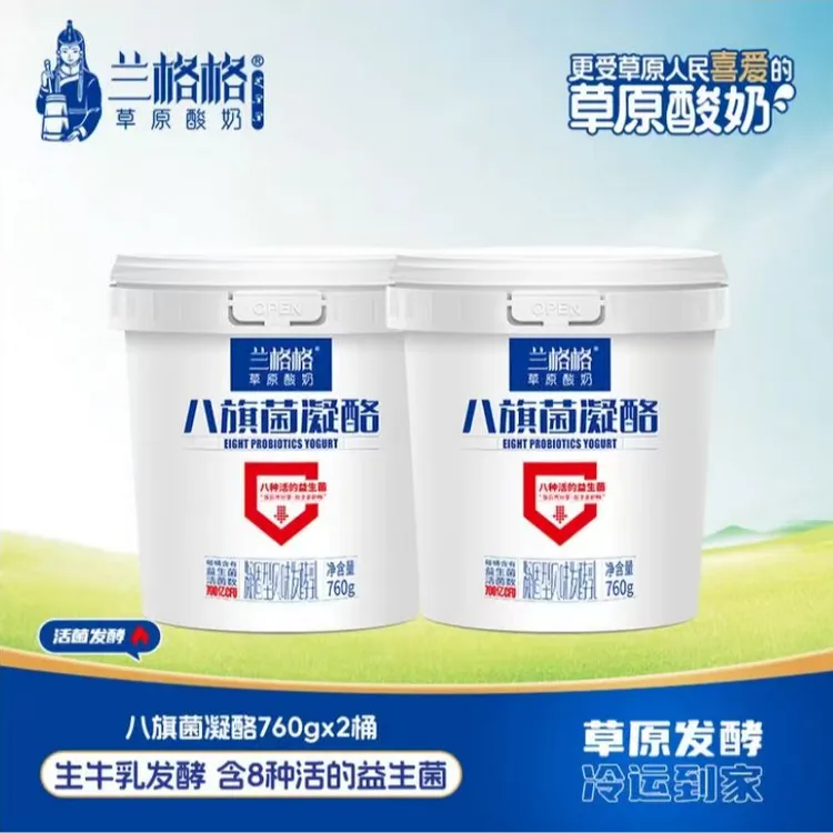 兰格格 八旗菌凝酪760g*2 内蒙古老酸奶含八种活的益生菌低温大桶