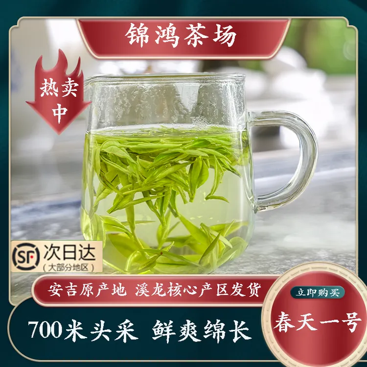 兰香安吉春天一号A91 高山云雾白茶绿茶特产白茶耐泡茶高山茶白茶