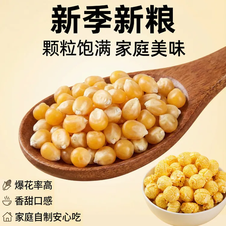 球形爆米花玉米粒1斤球型爆米花专用干苞米家庭微波炉自己爆
