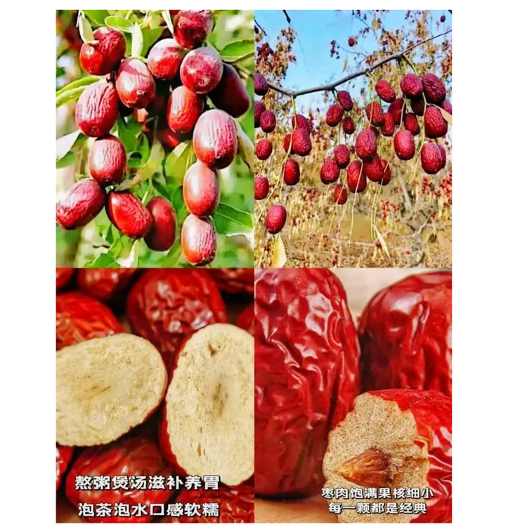 新疆若羌米兰原枣产地直发