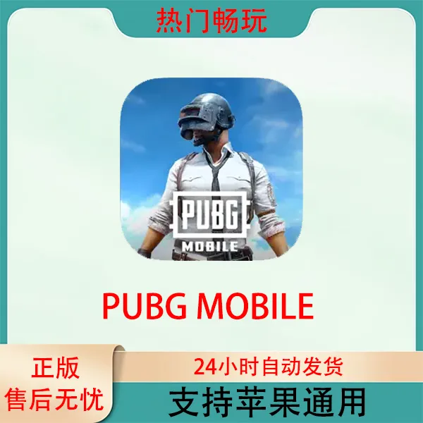 pubg 国际服 地铁逃生 刺激战场 苹果手机ios/ipad游戏安装服务