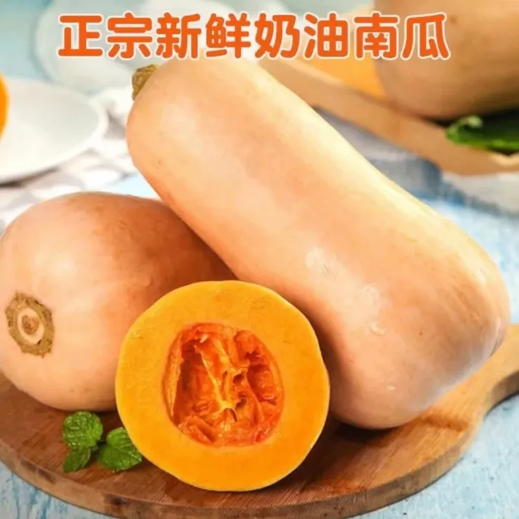 【现摘现发】香甜软糯南瓜当季时令奶油南瓜自然健康实惠产地直发MH