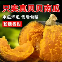 【小徐同学专属】真贝贝南瓜老面粗粮孕妇婴儿宝宝辅食粉糯香甜整箱