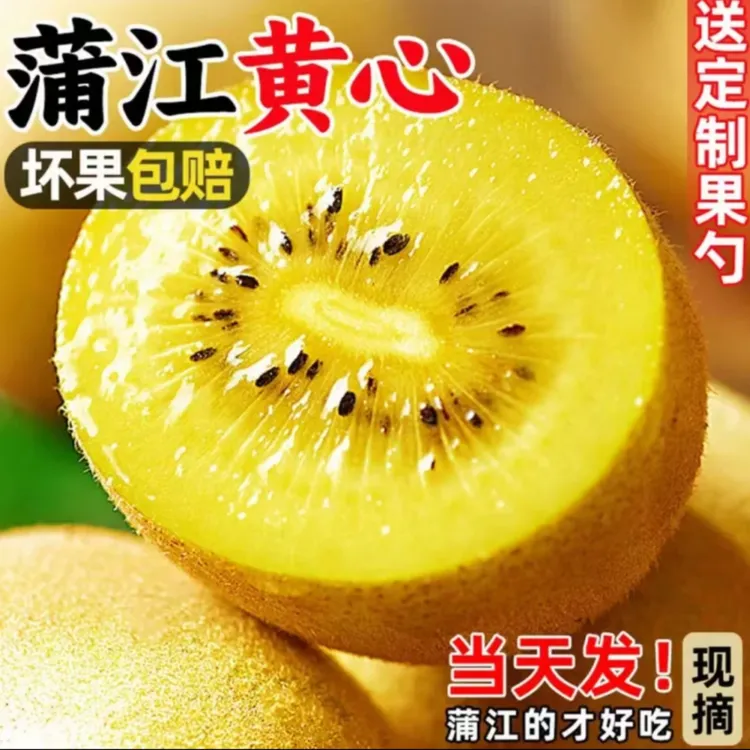 【产地直发】正宗四川蒲江黄心猕猴桃新鲜奇异果当季水果整箱包邮