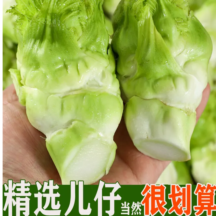 贵州儿菜新鲜农家自种当季新鲜蔬菜包子芥菜儿菜娃娃菜非四川儿菜