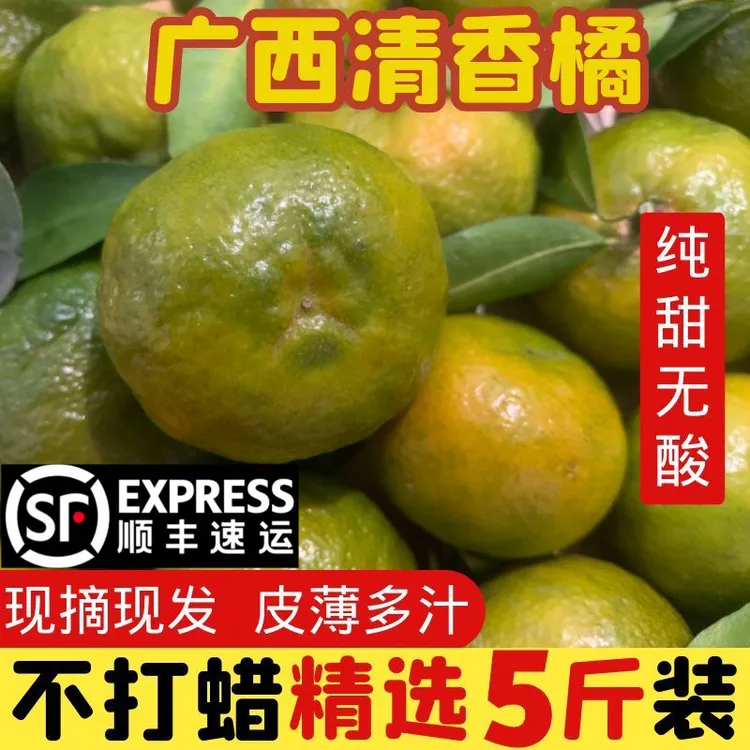 【A级果顺丰】广西清香茶橘清香橘清香蜜桔青香茶桔新鲜纯甜无酸