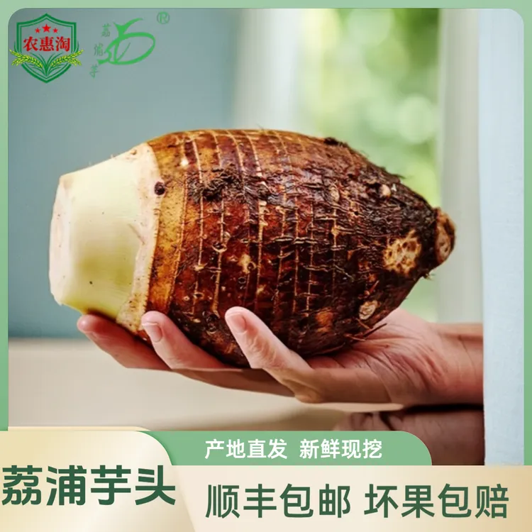 农惠淘【顺丰包邮】正宗广西荔浦芋头产地直发新鲜现挖香芋粉糯香软
