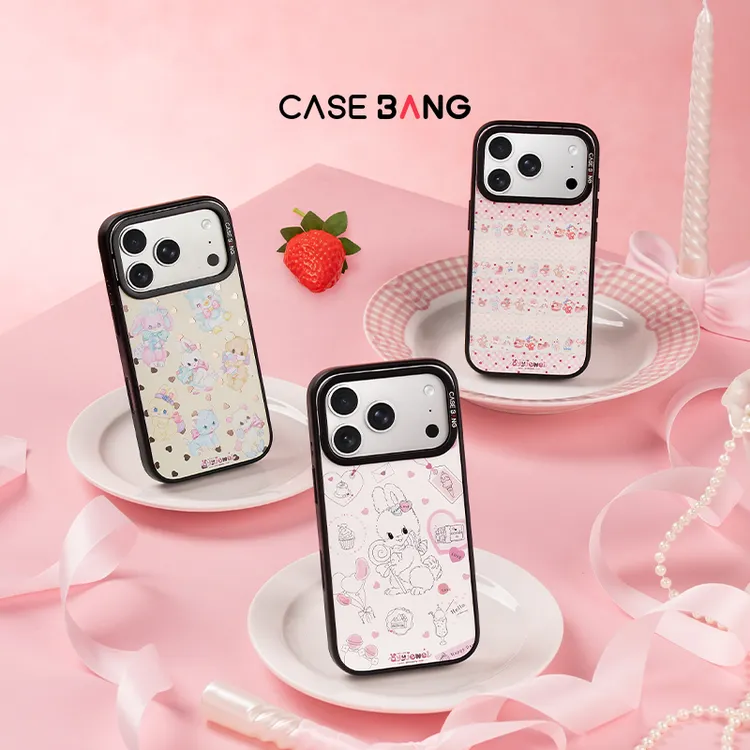 CASEBANG ayyjewel联名适用苹果iPhone17pm/16pro防摔磁吸手机壳商品图