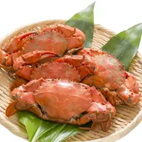 【肉质鲜美】鲜活石头蟹1兜 约400-500g有断腿（保鲜不保活）
