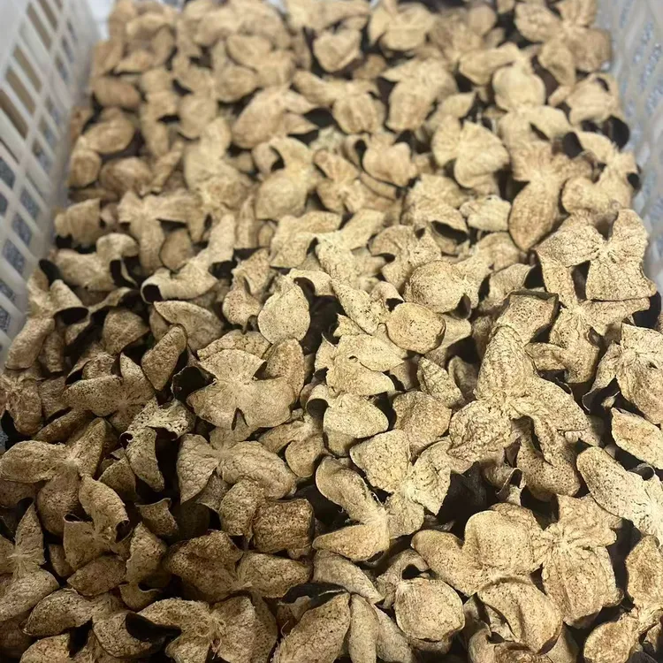 陈皮【2017梅江冬后皮002号】