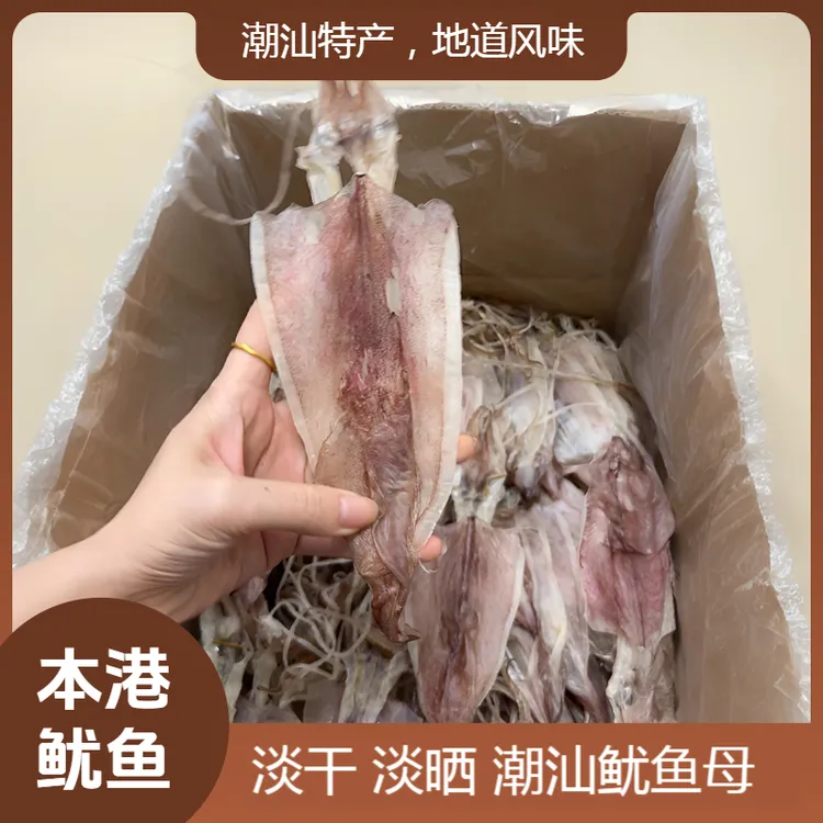汕尾潮汕特产中号本港淡干鱿鱼干货母专用手撕炒芥末烧烤船晒鱿鱼