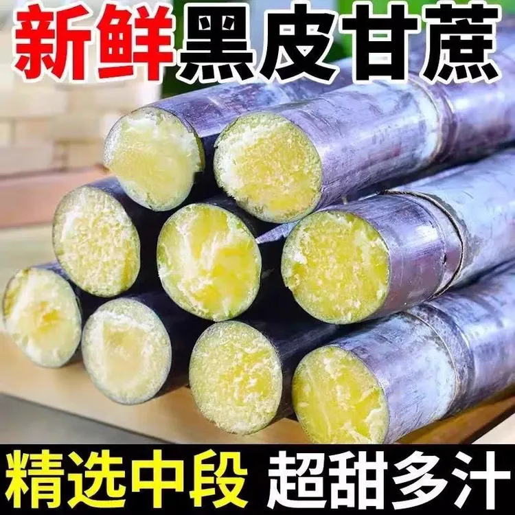 广西黑皮甘蔗新鲜水果应当季特产现砍现发脆甜孕妇果3-9斤清甜杆