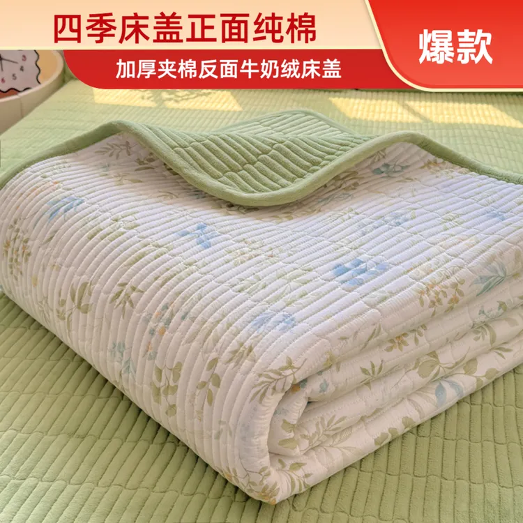 爆款纯棉床盖保暖牛奶绒加厚床单双面夹棉机洗防滑单人宿舍四季悠