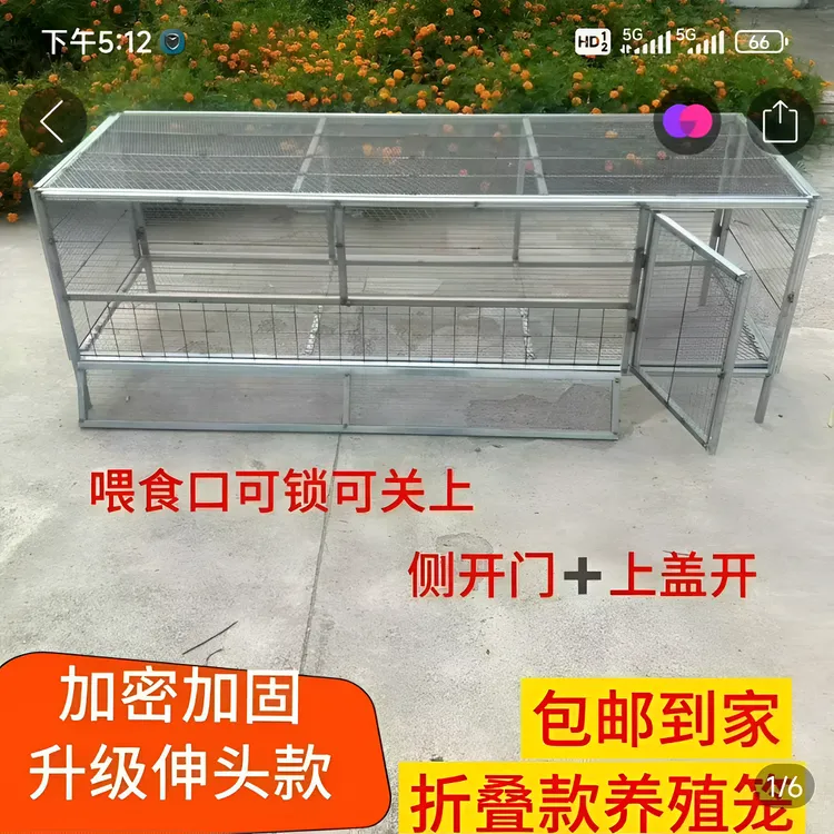 伸头吃食款专用处理清仓户外笼包邮到家鸡笼子家用养鸡特大号型