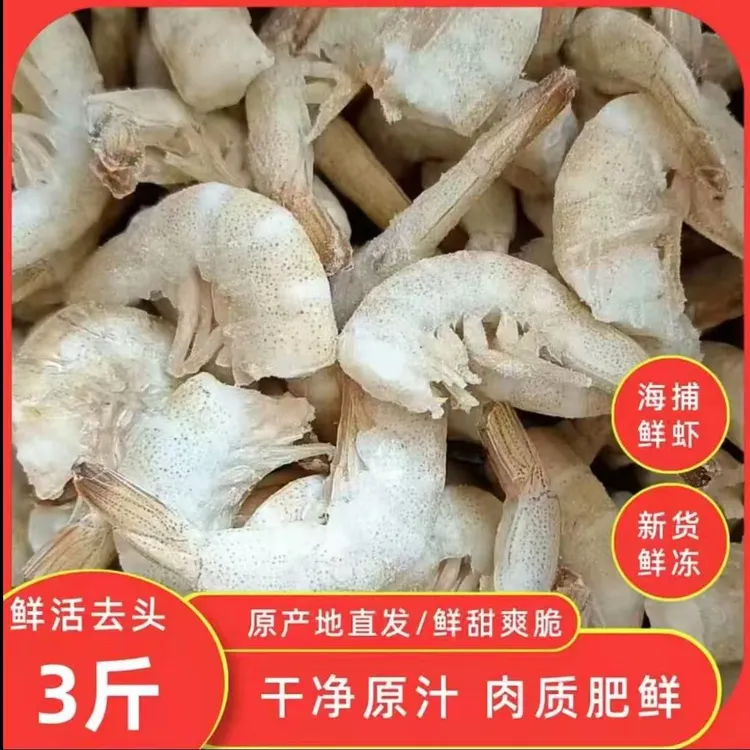 海捕野生羊毛虾鲜活去头虾尾小海虾鲜嫩美味宝宝辅食
